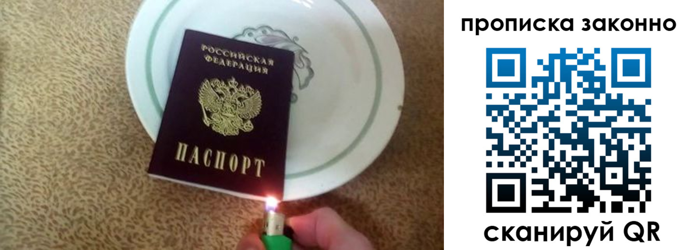 прописка поиск в Кохме